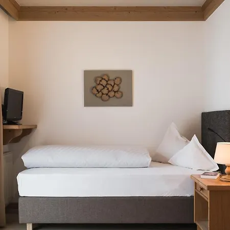 Alpenhof Hotel 3*